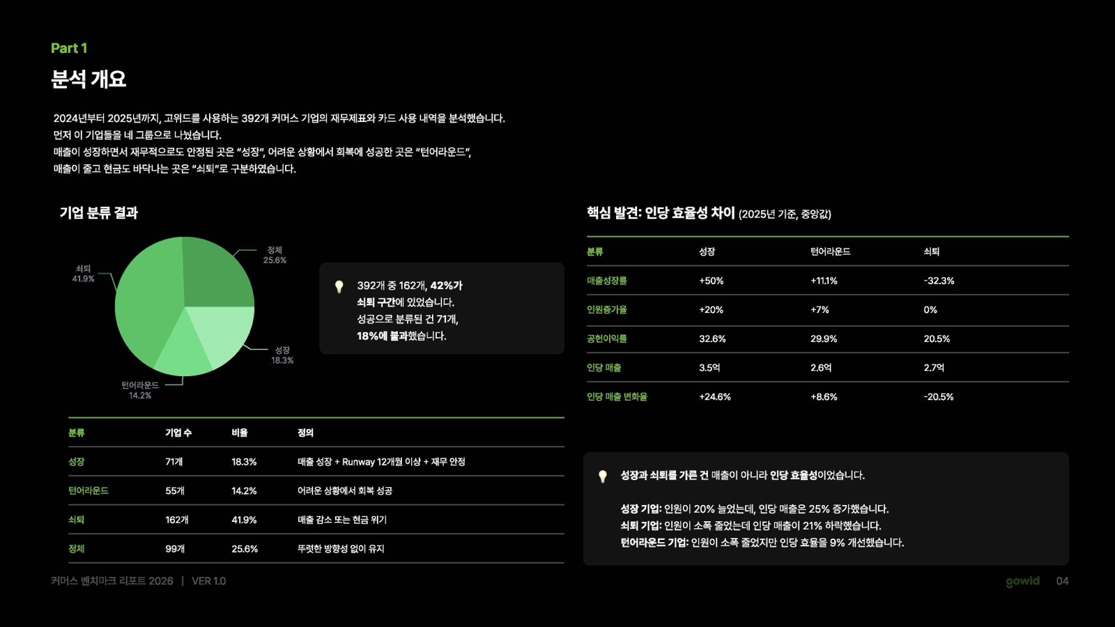 분석 개요